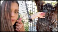 The shocking incident happened at a zoo in Crimea (Image via X/CollinRugg)